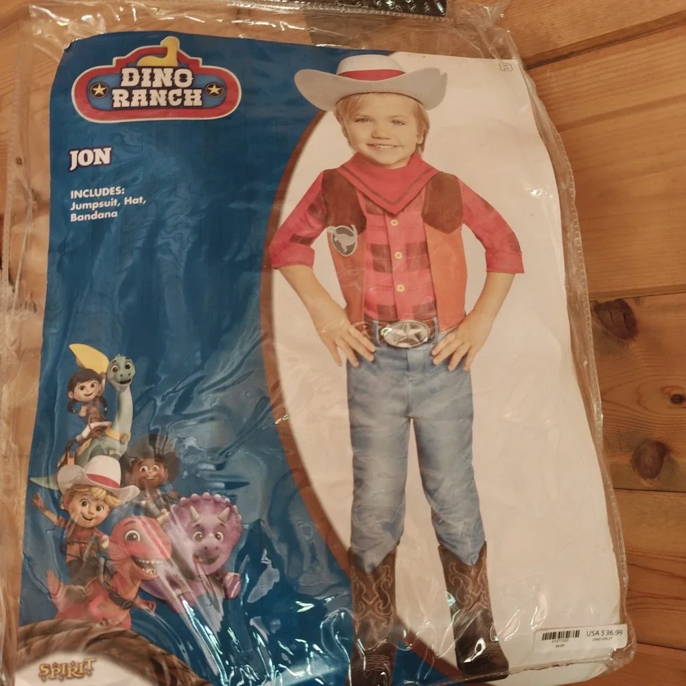 Spirit Halloween costume either